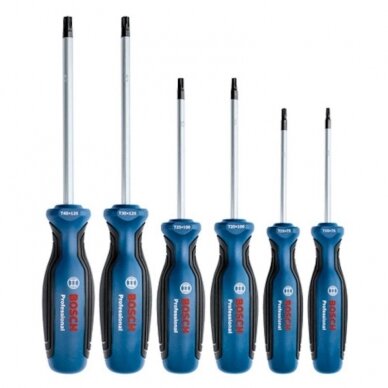 6 dalių atsuktuvų rinkinys BOSCH Torx 1 6 dalių atsuktuvų rinkinys BOSCH Torx 1