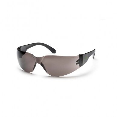 Aps. akiniai Active Gear V111, tamsinti Aps. akiniai Active Gear V111, tamsinti