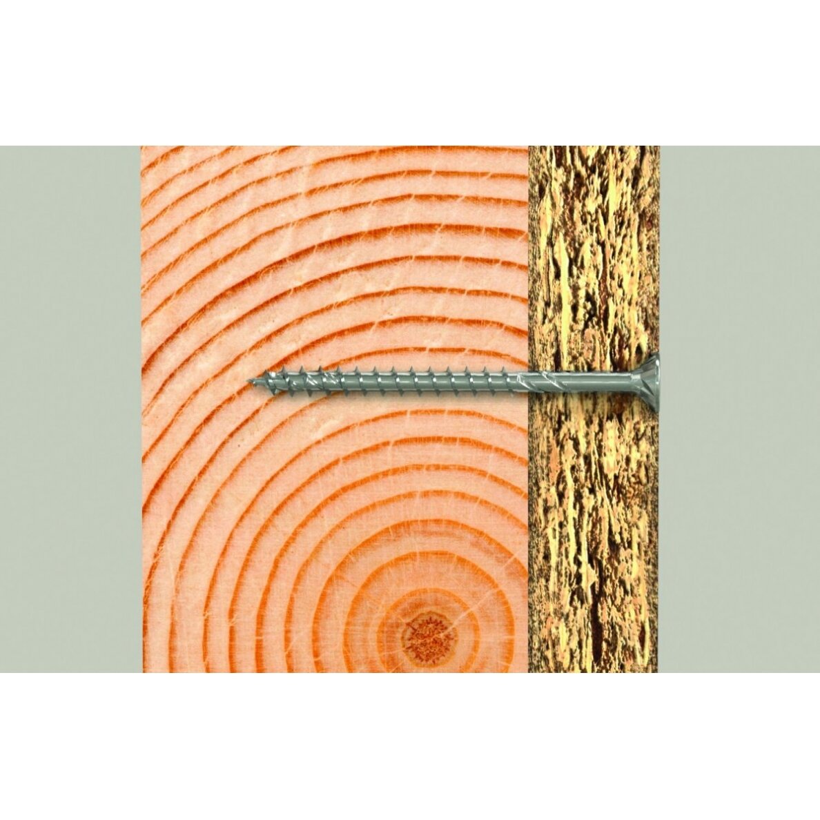 Medsraigtis 6,0 x 100 A2 Torx, 100vnt. 1